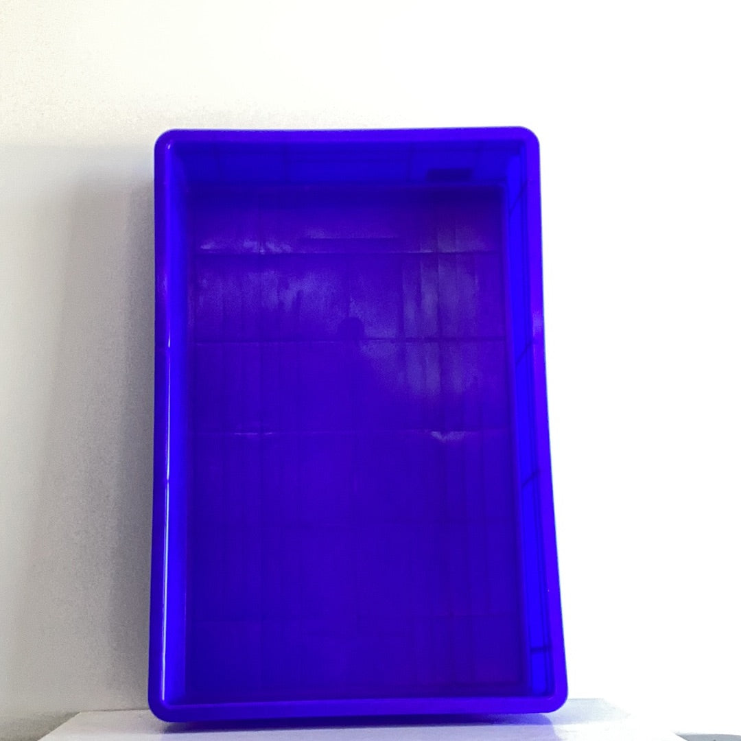 Pizza Tray 60x40x10cm Blue/ Dough Container