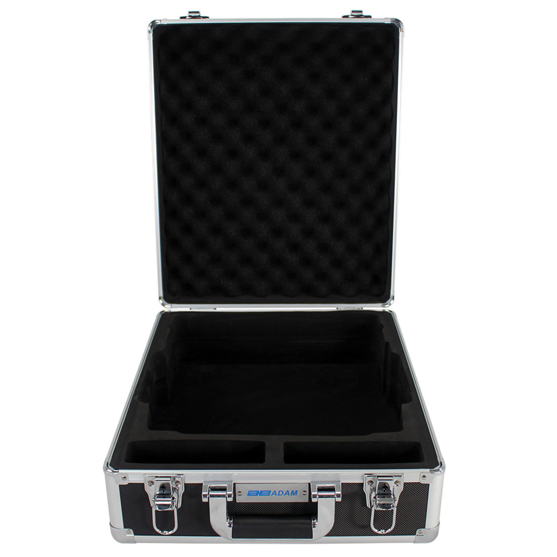 Hard carrying case with lock-302013912