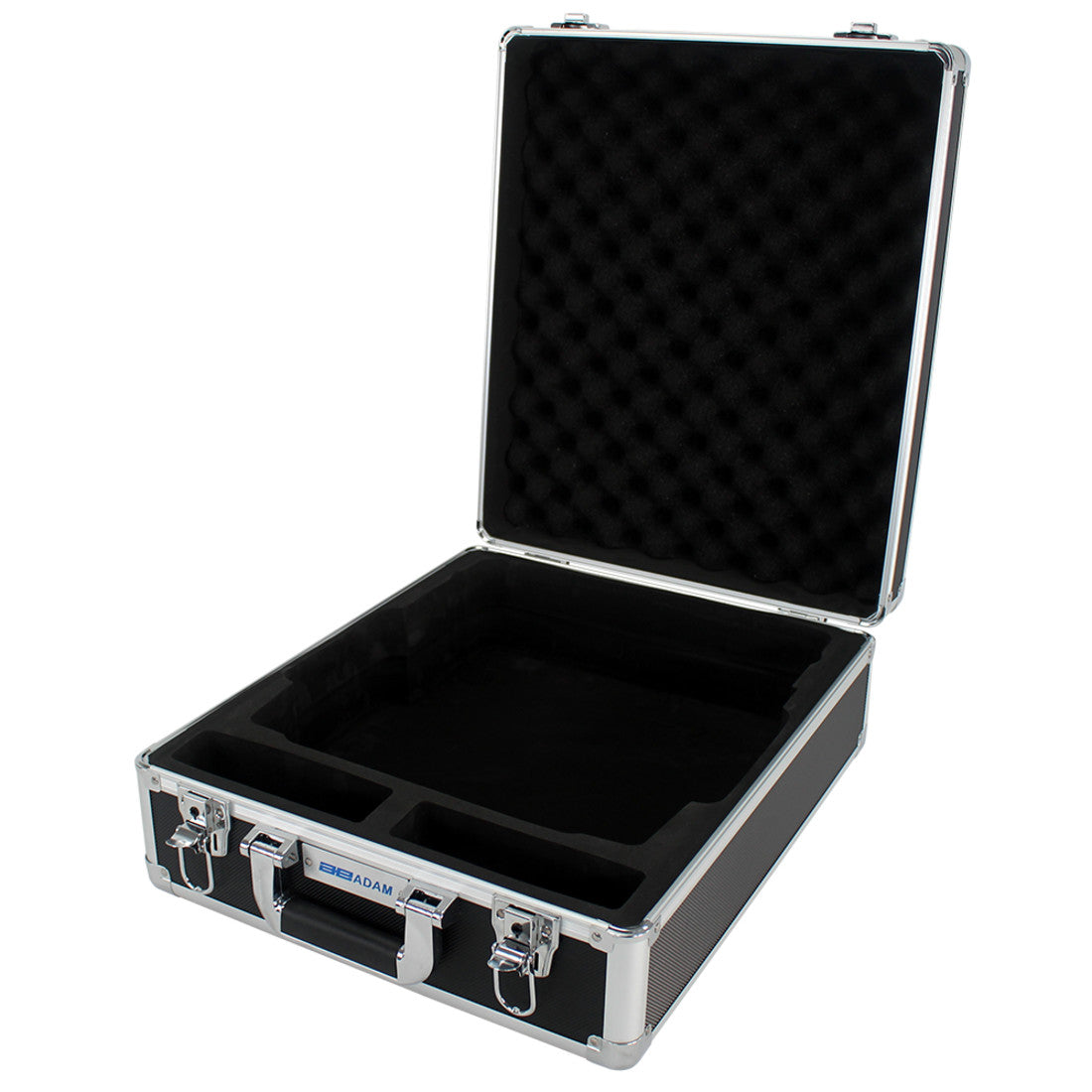 Hard carrying case with lock-302013912