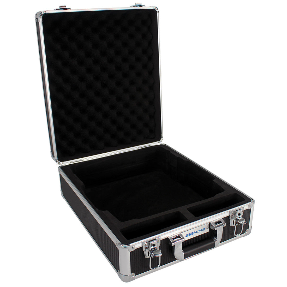 Hard carrying case with lock-302013912