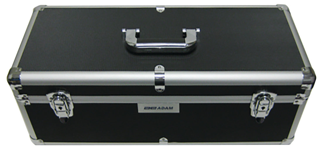 Hard carrying case with lock-700100211