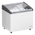 EFI 2153 Ice-cream chest freezer