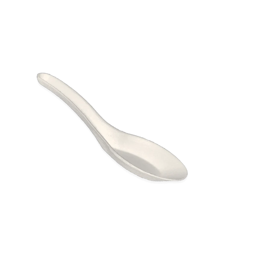 Sugarcane Soup Spoon (100/Pack)