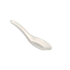 Sugarcane Soup Spoon (100/Pack)