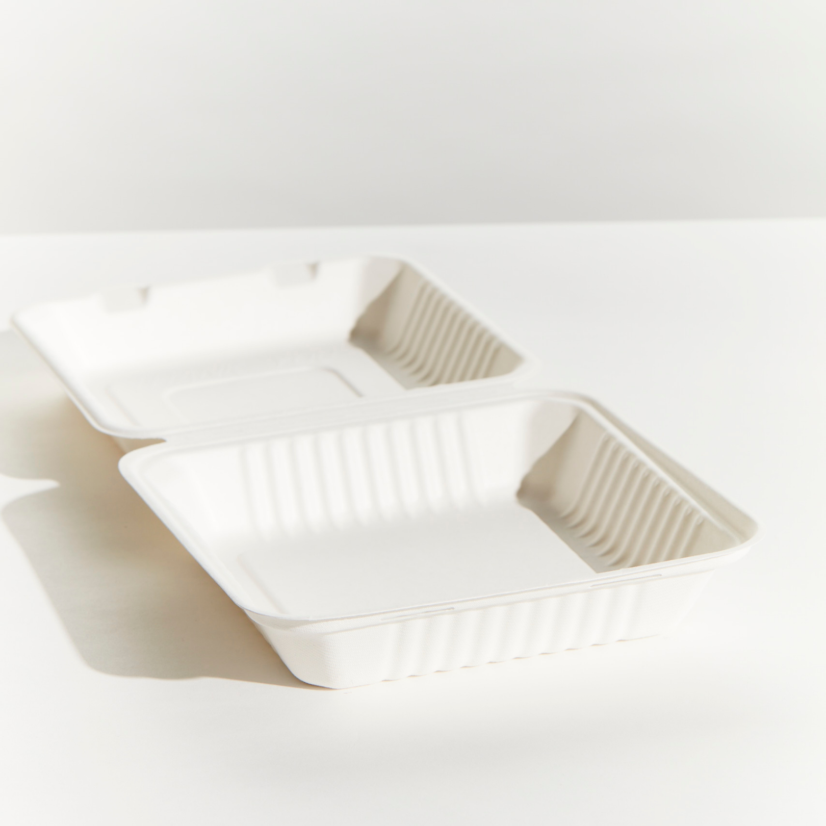Sugarcane Large Dinner Box - White (50Pack)