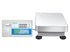 BCT Advanced Label Printing Scales-BCT 16