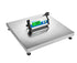 CPWplus Bench and Floor Scales-CPWplus 200M