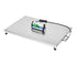 CPWplus Bench and Floor Scales-CPWplus 300L