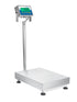 Gladiator Approved Waterproof Scales-GGL 300M