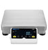 Luna LBL High Capacity Precision Balances-LBL 24001P