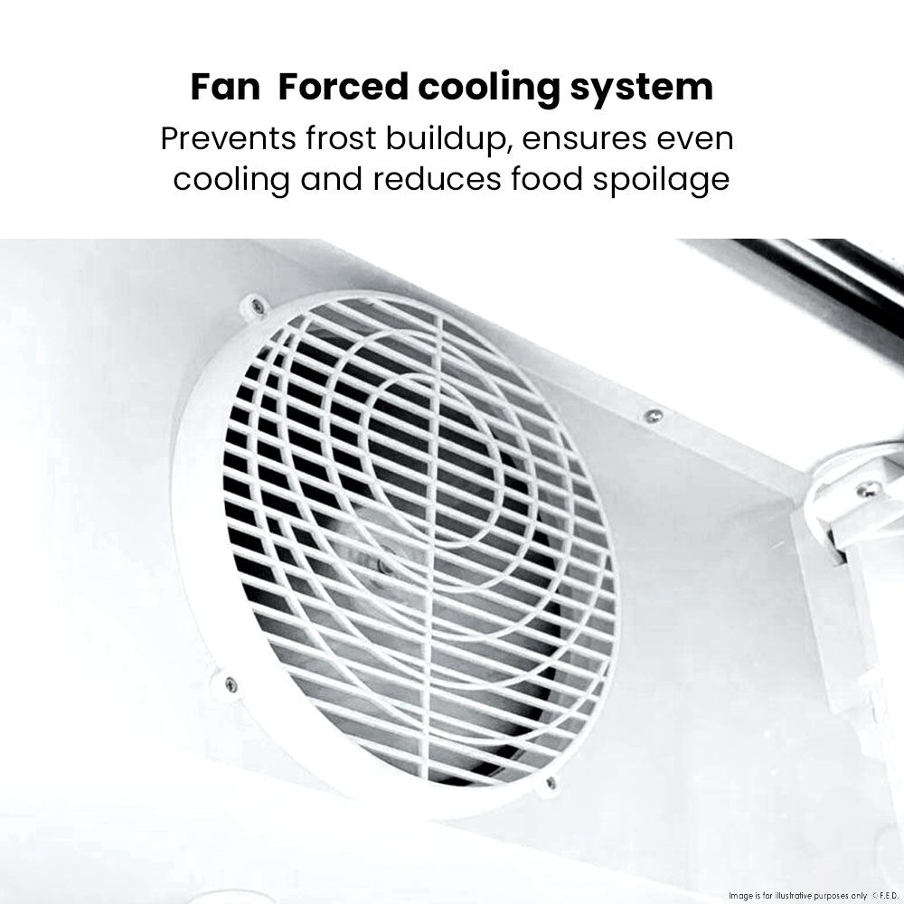 Thermaster Double Glass Door Colourbond Upright Drink Fridge - LG-580BP