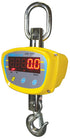 LHS Crane Scales-LHS 2000