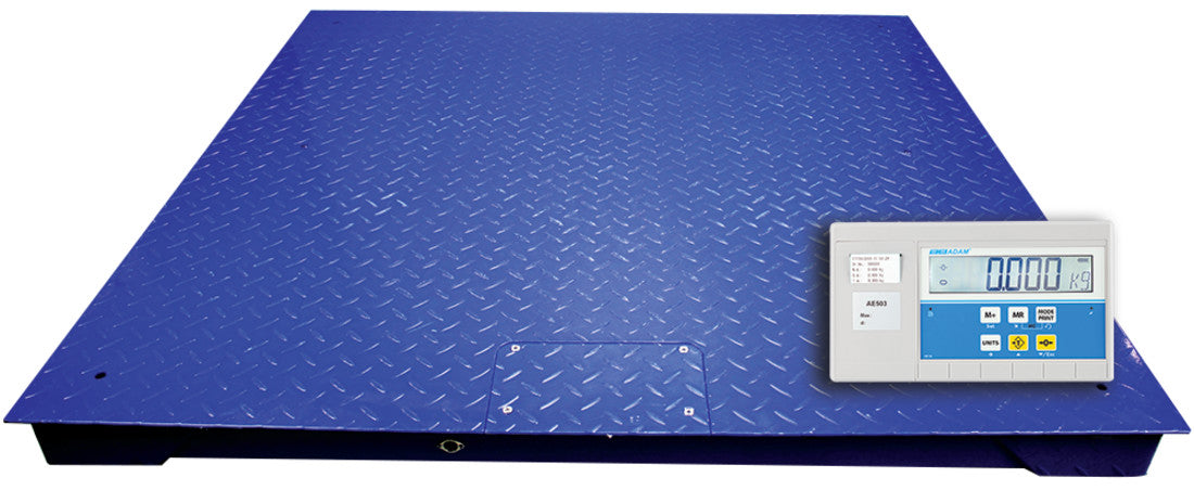 PT Platforms with AE 503 Label-Printing Indicator-PT 112 [AE503]