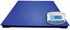 PT Platforms with GK-Plus Checkweighing Indicator-PT 312 [GK-Plus]