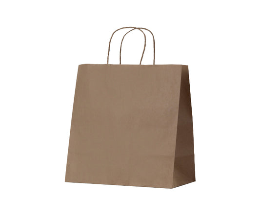 BetaEco Kraft Twist Handle Carry Bag (305x305x170) 250/ctn
